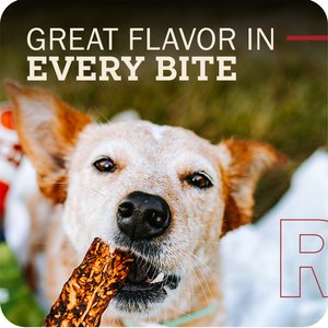 Redbarn Bully Slices Dog Treats, 9-oz bag