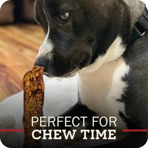 Redbarn Bully Slices Dog Treats, 9-oz bag
