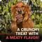 Show in main carousel: Redbarn Choppers Dog Treats, 9-oz bag slide 7 of 11