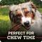 Show in main carousel: Redbarn Choppers Dog Treats, 9-oz bag slide 8 of 11