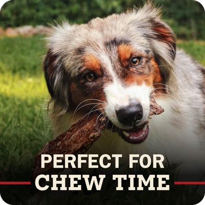 Show full view: Redbarn Choppers Dog Treats, 9-oz bag slide 8 of 11