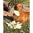 Show in main carousel: Redbarn All-Natural Beef Cow Ears Dog Treats, 4.2-oz bag slide 7 of 11