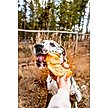 Show in main carousel: Redbarn All-Natural Beef Cow Ears Dog Treats, 4.2-oz bag slide 6 of 11