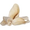 Show in main carousel: Redbarn All-Natural Beef Cow Ears Dog Treats, 4.2-oz bag slide 5 of 11