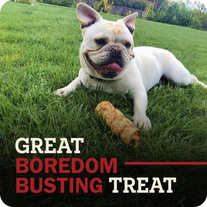 Redbarn Glazed Beef Cheek Roll Dog Chew, Large