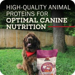 Redbarn Grain-Free Large Breed Recipe Dry Dog Food, 28-lb bag slide 2 of 9