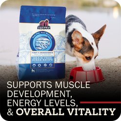 Redbarn Grain-Free Ocean Recipe Dry Dog Food, 22-lb bag slide 2 of 9