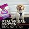 Show in main carousel: Redbarn Grain-Free Puppy Recipe Dry Dog Food, 4-lb bag slide 3 of 11