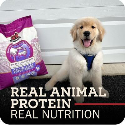 Show full view: Redbarn Grain-Free Puppy Recipe Dry Dog Food, 4-lb bag slide 3 of 11