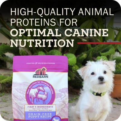 Show full view: Redbarn Grain-Free Puppy Recipe Dry Dog Food, 4-lb bag slide 9 of 11