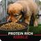 Show in main carousel: Redbarn Grain-Free Puppy Recipe Dry Dog Food, 4-lb bag slide 8 of 11