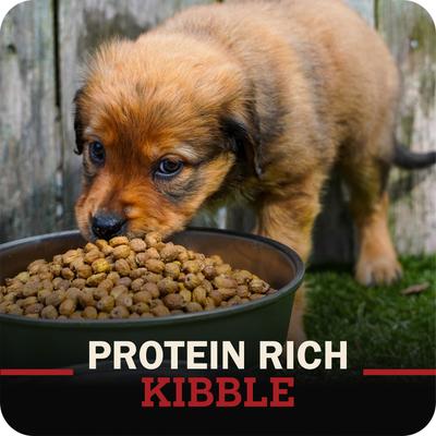 Show full view: Redbarn Grain-Free Puppy Recipe Dry Dog Food, 4-lb bag slide 8 of 11