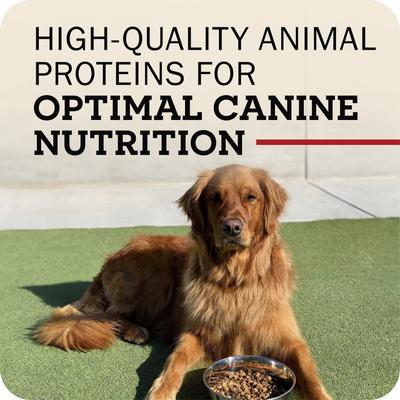 Show full view: Redbarn Grain-Free Sky Recipe Dry Dog Food, 4-lb bag slide 9 of 11