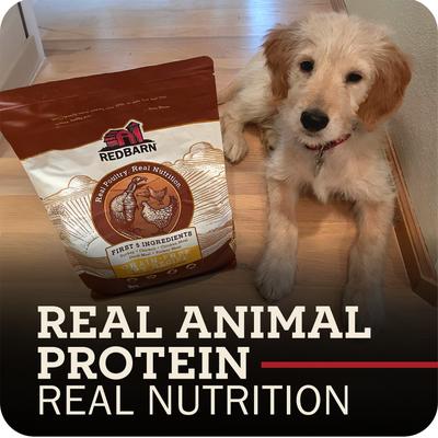 Show full view: Redbarn Grain-Free Sky Recipe Dry Dog Food, 4-lb bag slide 3 of 11