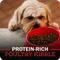 Show in main carousel: Redbarn Grain-Free Sky Recipe Dry Dog Food, 4-lb bag slide 8 of 11