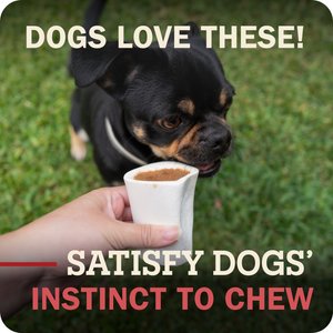 Redbarn Large Peanut Butter Filled Bones Dog Treats, 6-in chew, 1 count