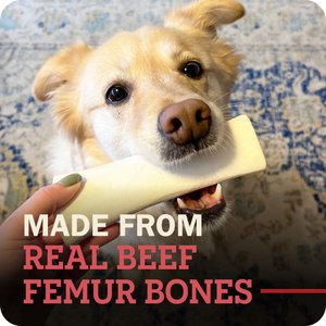 Redbarn Large Peanut Butter Filled Bones Dog Treats, 6-in chew, 1 count
