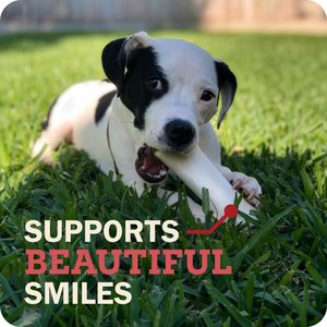 Redbarn Large Peanut Butter Filled Bones Dog Treats, 6-in chew, 1 count