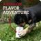 Show in main carousel: Redbarn Large Peanut Butter Filled Bones Dog Treats, case of 15 slide 5 of 11