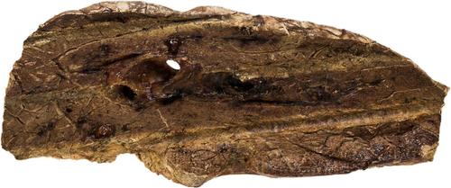 Show full view: Redbarn Choppers Dog Treats, 27-oz bundle slide 4 of 10