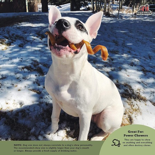 Redbarn Naturals Fetcher Springs Dog Treats