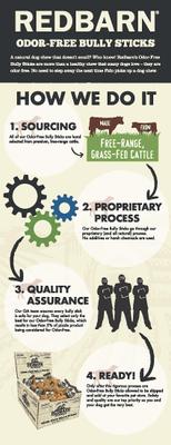 Show full view: Redbarn Odor-Free Bully Spring Dog Treat, 1 count slide 8 of 9