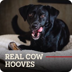 Redbarn Peanut Butter Filled Cow Hooves Dog Treats, 25 count slide 2 of 9