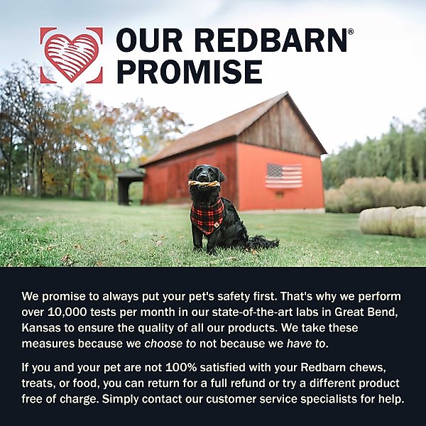 Show full view: Redbarn Powerfood Small Breed Recipe Chicken & Blueberry Grain-Free Air Dried Dog Food, 32-oz bag slide 10 of 12