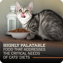 Redbarn Powerfood Chicken High Protein Grain-Free Gently Air Dried Cat Food, 32-oz bag slide 2 of 9