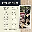 Show in main carousel: Redbarn Powerfood Digestive Health Beef & Lamb Gently Air Dried Dog Food, 32-oz bag slide 9 of 12
