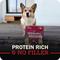 Show in main carousel: Redbarn Powerfood Digestive Health Beef & Lamb Gently Air Dried Dog Food, 32-oz bag slide 8 of 12