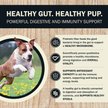 Show in main carousel: Redbarn Powerfood Digestive Health Fish Gently Air Dried Dog Food, 32-oz bag slide 5 of 12