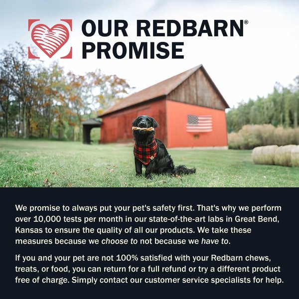 Redbarn Powerfood Healthy Puppy Chicken, Grain-Free Gently Air Dried Dog Food