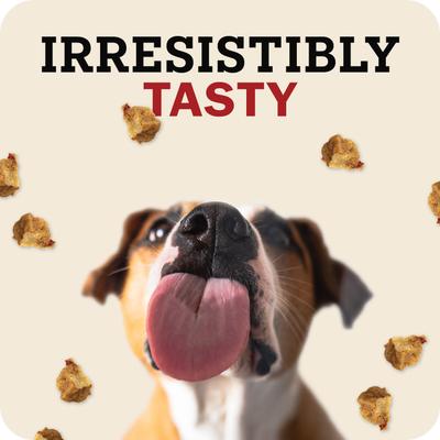 Show full view: Redbarn Powerfood Healthy Puppy Chicken, Grain-Free Gently Air Dried Dog Food, 32-oz bag slide 5 of 12