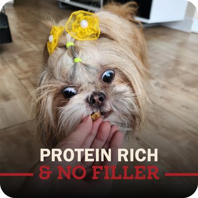 Show full view: Redbarn Powerfood Healthy Puppy Chicken, Grain-Free Gently Air Dried Dog Food, 32-oz bag slide 8 of 12