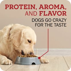 Redbarn Powerfood Healthy Puppy Chicken, Grain-Free Gently Air Dried Dog Food, 32-oz bag slide 2 of 9