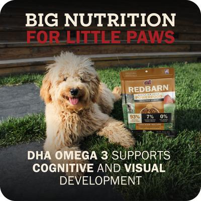 Show full view: Redbarn Powerfood Healthy Puppy Chicken, Grain-Free Gently Air Dried Dog Food, 32-oz bag slide 7 of 12