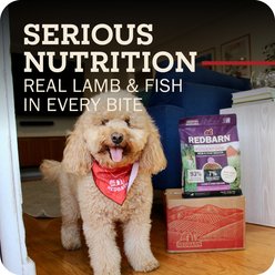 Redbarn Powerfood Skin & Coat Fish & Lamb Gently Air-Dried Dog Food, 2.5-oz bag slide 2 of 9