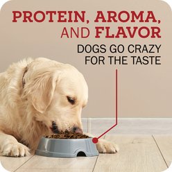 Redbarn Powerfood Small Breed Recipe Chicken & Blueberry Grain-Free Air Dried Dog Food, 2.5-oz bag slide 2 of 9