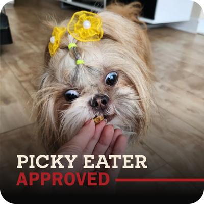 Show full view: Redbarn Powerfood Small Breed Recipe Chicken & Blueberry Grain-Free Air Dried Dog Food, 32-oz bag slide 7 of 12