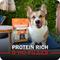 Show in main carousel: Redbarn Powerfood Small Breed Recipe Chicken & Blueberry Grain-Free Air Dried Dog Food, 32-oz bag slide 8 of 12