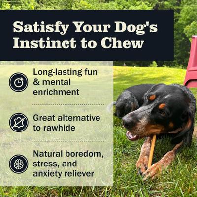 Show full view: Redbarn Premium 7" Bully Sticks Dog Treat, 1 count slide 5 of 12