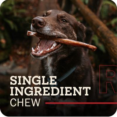 Show full view: Redbarn Premium 7" Bully Sticks Dog Treats, 6 count slide 3 of 12