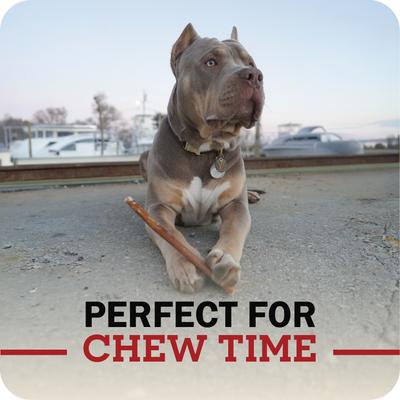 Show full view: Redbarn Premium 7" Bully Sticks Dog Treats, 6 count slide 8 of 12