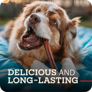 Redbarn Premium 7" Bully Sticks Dog Treats, 6 count