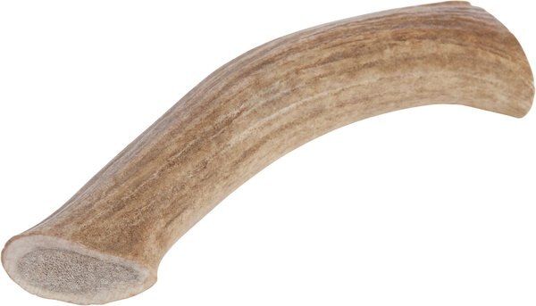 Redbarn Whole Elk Antler Dog Chew, XX-Large