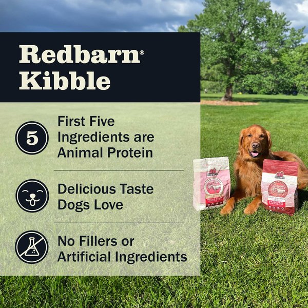 Redbarn Whole Grain Land Recipe Dry Dog Food