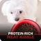 Show in main carousel: Redbarn Whole Grain Land Recipe Dry Dog Food, 4-lb bag slide 8 of 11