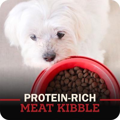 Show full view: Redbarn Whole Grain Land Recipe Dry Dog Food, 4-lb bag slide 8 of 11