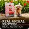 Show in main carousel: Redbarn Whole Grain Land Recipe Dry Dog Food, 4-lb bag slide 3 of 11